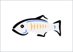 glassfish-250x0_q100